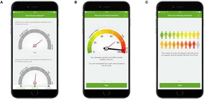 Factors Influencing Usability of a Smartphone App to Reduce Excessive Alcohol Consumption: Think Aloud and Interview Studies